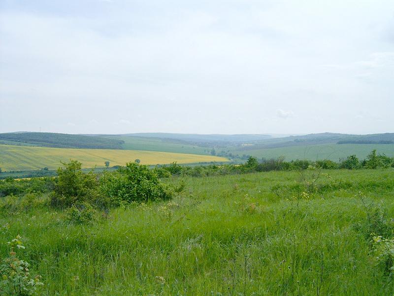 2010.05.08 (093).jpg